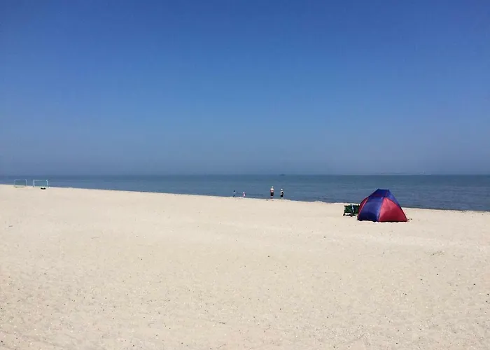 Memmert * 霍鲁梅尔希尔